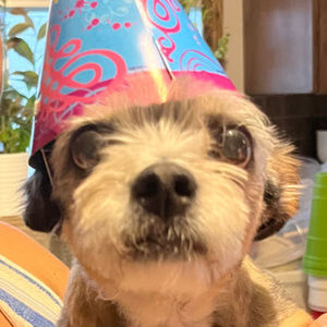 Meet your Posher, Arantza